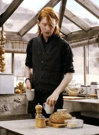 Bill Weasley 