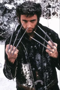 Wolverine