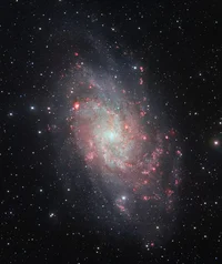 Triangulum galaxy