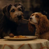 Lady And The Tramp 