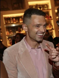 sebastian stan 
