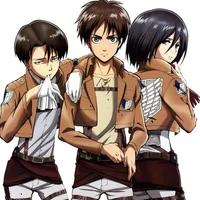 Eren Mikasa Levi