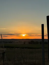 Zuri-therian-lesbian