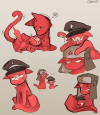 USSR and Third Reich