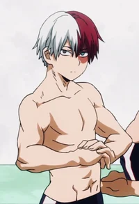 Shirtless Todoroki