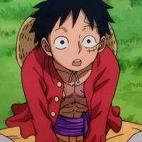 Monkey D Luffy