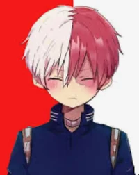 Shoto Todoroki 