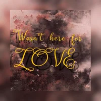 Wasnt-Here-For-Love