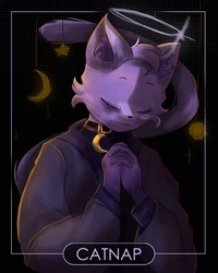 CatNap 