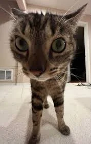 Ay- idk what to call