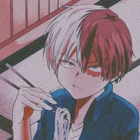 10-Shoto Todoroki