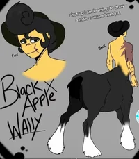 Black Apple Wally 