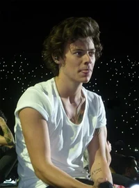 Harry styles 