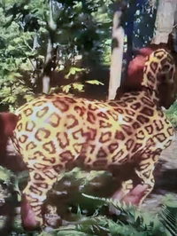 Cheetah horse