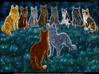 Warrior cats rp