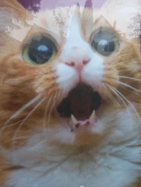 mesage to softlogged