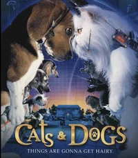 Cats vs dogs