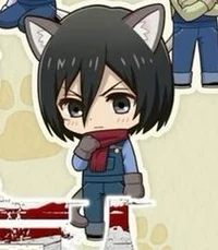 KITTEN Mikasa 