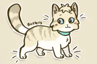 Kitty cat Butters 