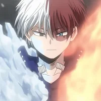 Shoto Todoroki 