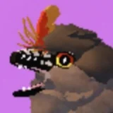 Kai Haze Acorn Biwwy