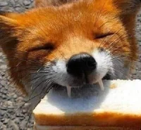 TF141 - Pick Me Girl