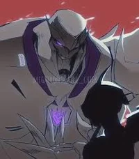 Megatron TFP 