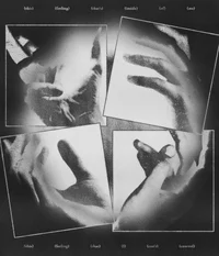 Марк Жонсьер