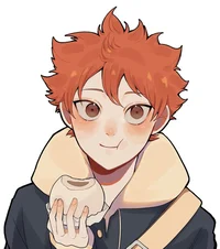 Shoyo Hinata 