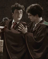 Джеймс Поттер