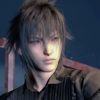 Noctis Lucis Caelum
