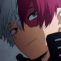 Shoto Todoroki