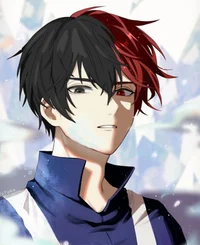 Shoto Todoroki