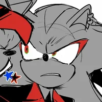 Shadow T Hedgehog