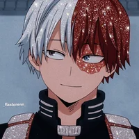 Cg Shoto Todoroki