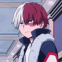 Shoto Todoroki