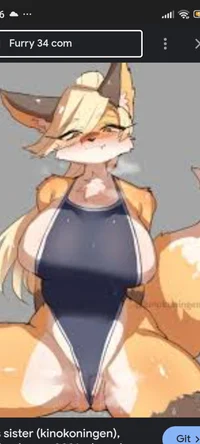 Female Fox furry