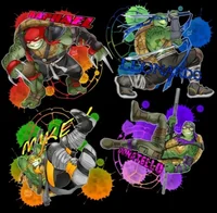 TMNT bayverse