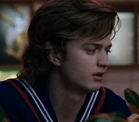 steve harrington