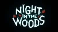 Night in the woods