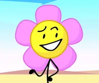 Flower -Bfdi-