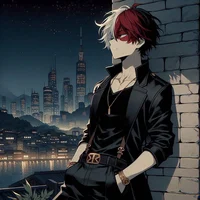 Shoto todoroki 