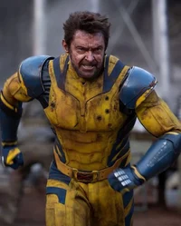 Wolverine