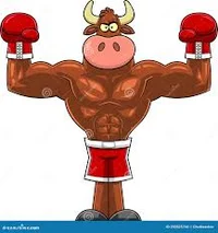 Boxing bull man 