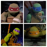 Ninja Turtles 