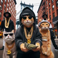 Gang of cats