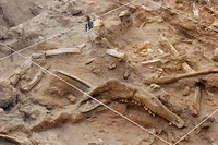 Fossil Discovery RPG