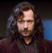 Sirius Black 