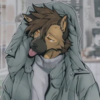 Furry German Shepher