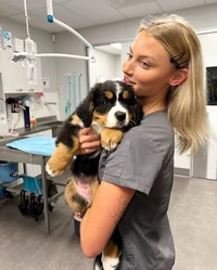 Veterinarian